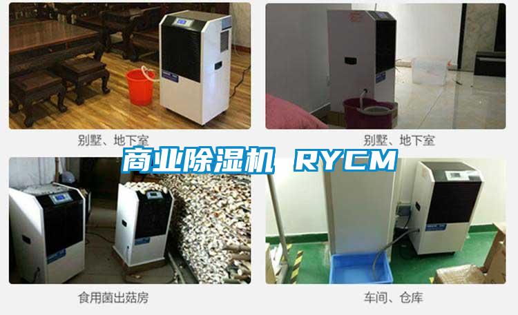 商業麻豆视频免费看 RYCM