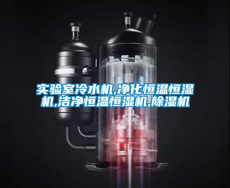 實驗室冷水機,淨化恒溫恒濕機,潔淨恒溫恒濕機,麻豆视频免费看