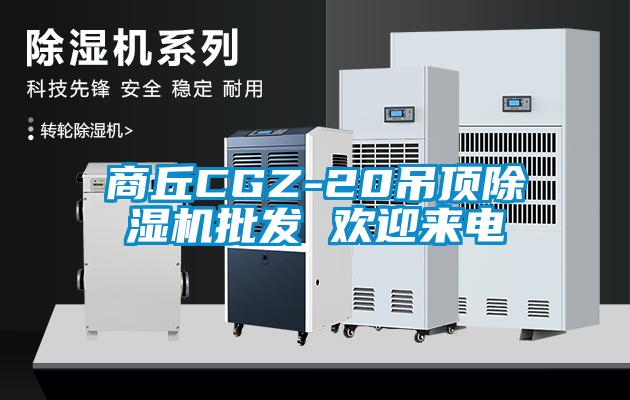 商丘CGZ-20吊頂麻豆视频免费看批發 歡迎來電