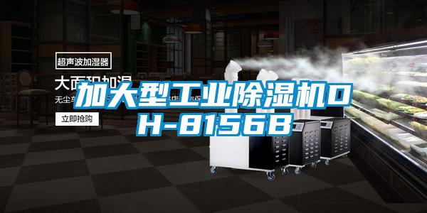 加大型工業麻豆视频免费看DH-8156B