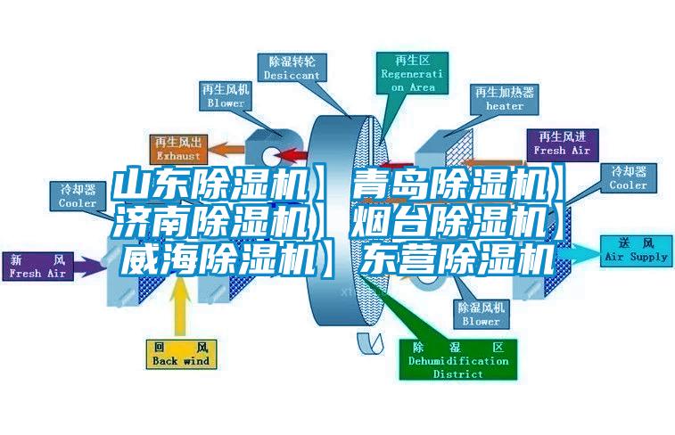 山東麻豆视频免费看】青島麻豆视频免费看】濟南麻豆视频免费看】煙台麻豆视频免费看】威海麻豆视频免费看】東營麻豆视频免费看