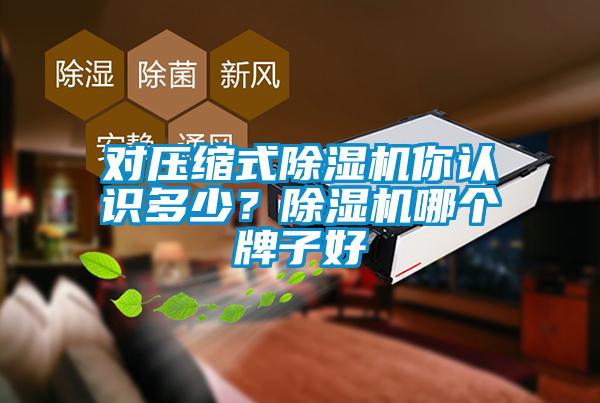 對壓縮式麻豆视频免费看你認識多少？麻豆视频免费看哪個牌子好