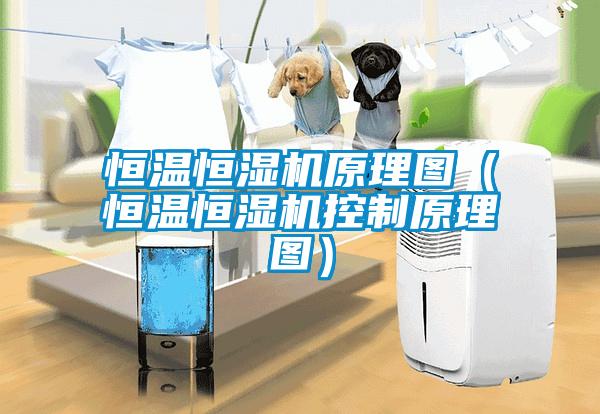 恒溫恒濕機原理圖（恒溫恒濕機控製原理圖）