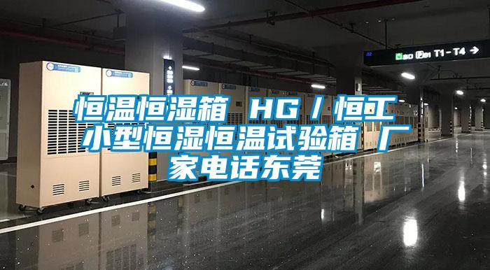 恒溫恒濕箱 HG／恒工 小型恒濕恒溫試驗箱 廠家電話東莞