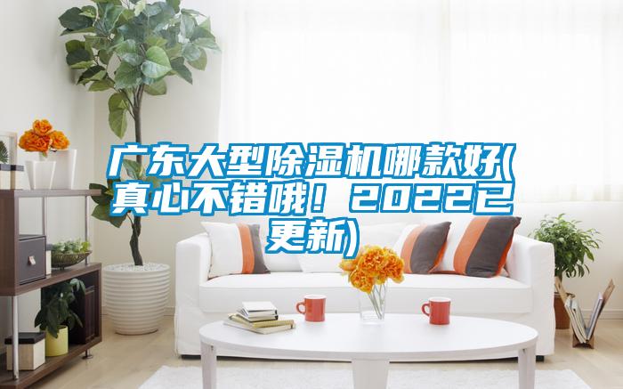 廣東大型麻豆视频免费看哪款好(真心不錯哦！2022已更新)