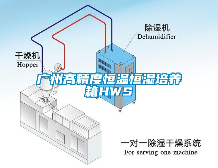 廣州高精度恒溫恒濕培養箱HWS