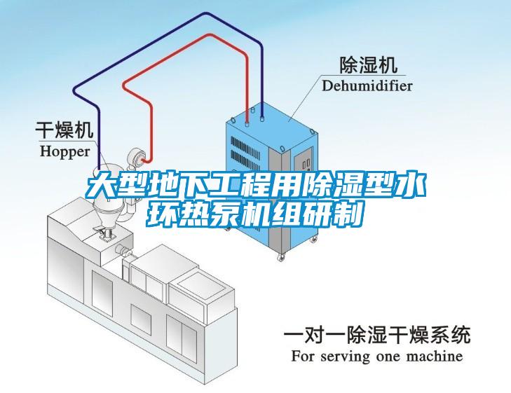 大型地下工程用除濕型水環熱泵機組研製