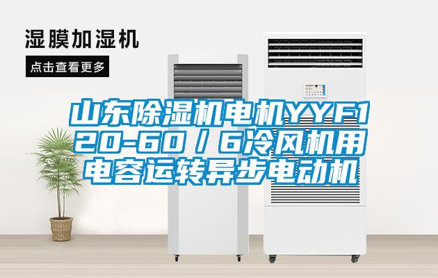 山東麻豆视频免费看電機YYF120-60／6冷風機用電容運轉異步電動機