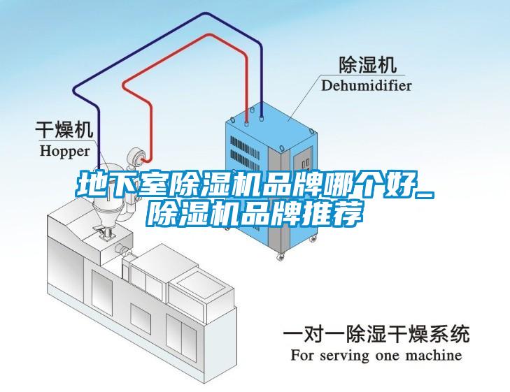 地下室麻豆视频免费看品牌哪個好_麻豆视频免费看品牌推薦