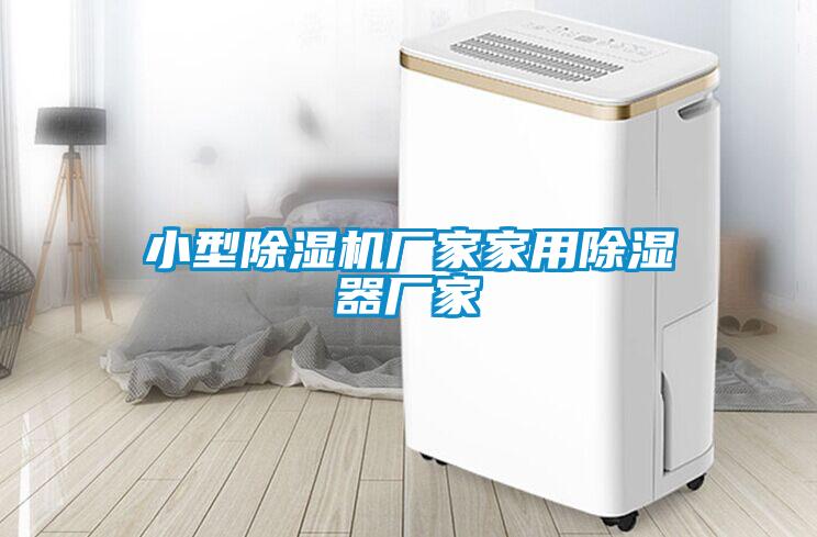 小型麻豆视频免费看廠家家用除濕器廠家