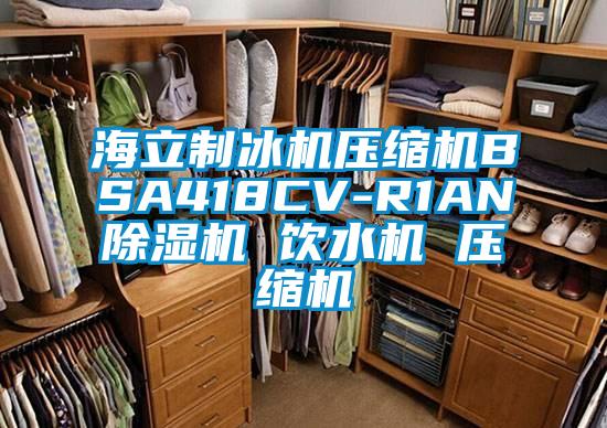 海立製冰機壓縮機BSA418CV-R1AN麻豆视频免费看 飲水機 壓縮機