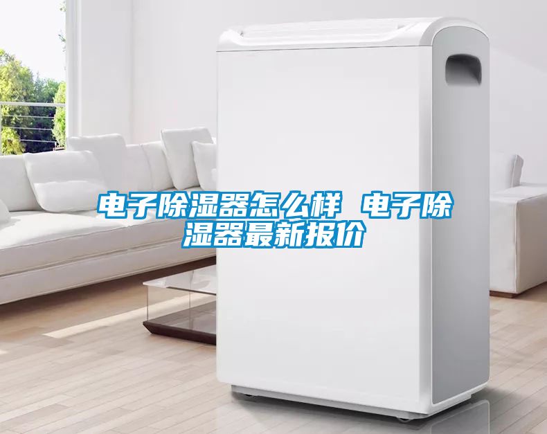 電子除濕器怎麽樣 電子除濕器最新報價