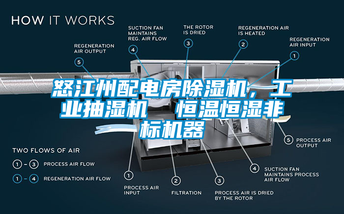 怒江州配電房麻豆视频免费看，工業抽濕機  恒溫恒濕非標機器