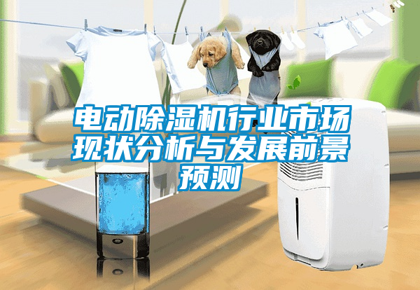 電動麻豆视频免费看行業市場現狀分析與發展前景預測