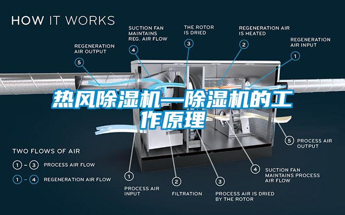 熱風麻豆视频免费看—麻豆视频免费看的工作原理