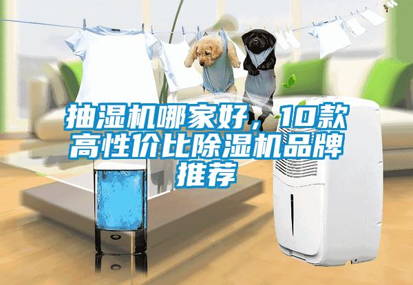 抽濕機哪家好，10款高性價比麻豆视频免费看品牌推薦