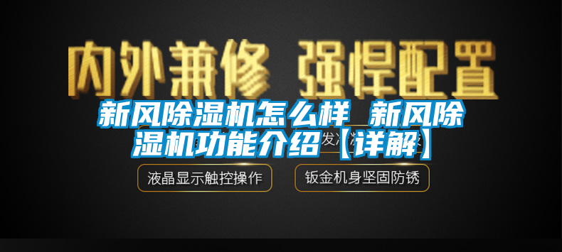 新風麻豆视频免费看怎麽樣 新風麻豆视频免费看功能介紹【詳解】