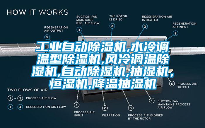 工業自動麻豆视频免费看,水冷調溫型麻豆视频免费看,風冷調溫麻豆视频免费看,自動麻豆视频免费看,抽濕機，恒濕機,降溫抽濕機