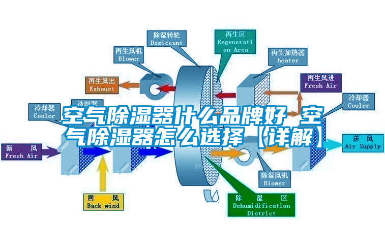 空氣除濕器什麽品牌好 空氣除濕器怎麽選擇【詳解】