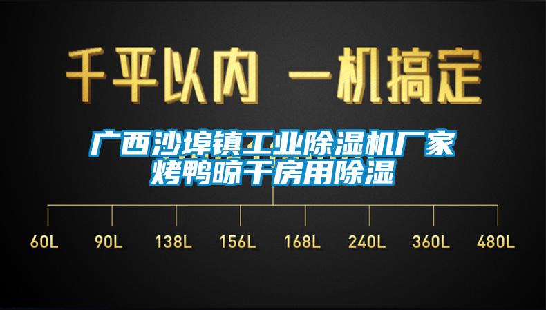 廣西沙埠鎮工業麻豆视频免费看廠家烤鴨晾幹房用除濕