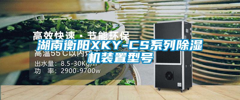 湖南衡陽XKY-CS係列麻豆视频免费看裝置型號