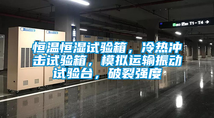 恒溫恒濕試驗箱，冷熱衝擊試驗箱，模擬運輸振動試驗台，破裂強度