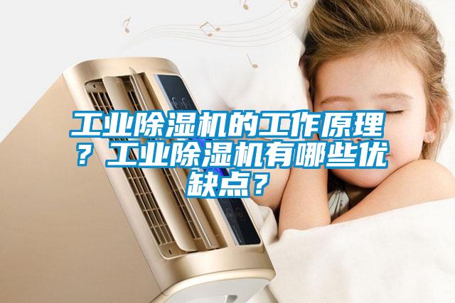 工業麻豆视频免费看的工作原理？工業麻豆视频免费看有哪些優缺點？