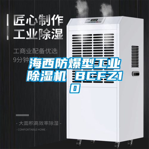 海西防爆型工業麻豆视频免费看 BCFZ10