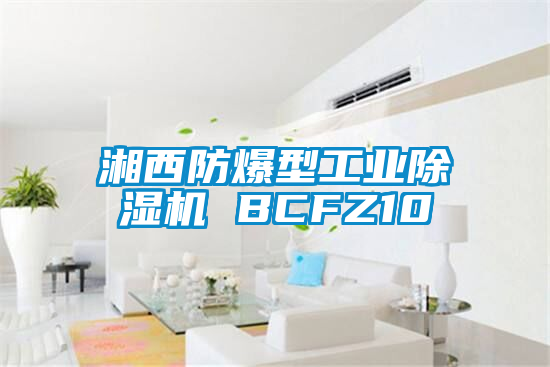 湘西防爆型工業麻豆视频免费看 BCFZ10