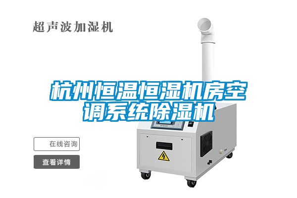 杭州恒溫恒濕機房空調係統麻豆视频免费看