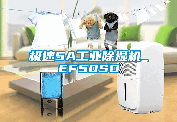 極速5A工業麻豆视频免费看_EF50SD