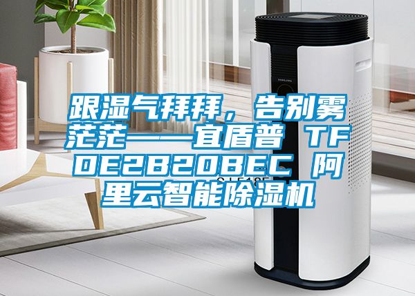 跟濕氣拜拜，告別霧茫茫——宜盾普 TFDE2B20BEC 阿裏雲智能麻豆视频免费看