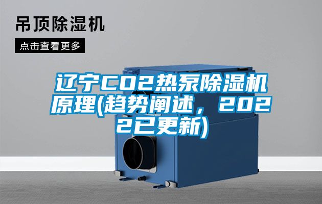 遼寧CO2熱泵麻豆视频免费看原理(趨勢闡述，2022已更新)