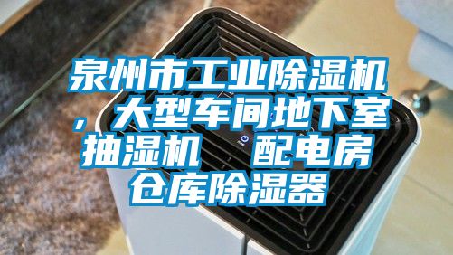 泉州市工業麻豆视频免费看，大型車間地下室抽濕機  配電房倉庫除濕器