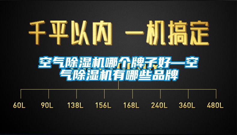 空氣麻豆视频免费看哪個牌子好—空氣麻豆视频免费看有哪些品牌