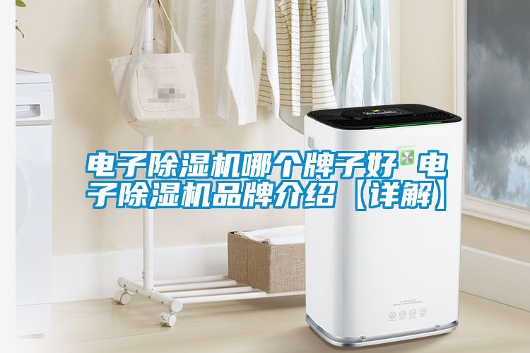 電子麻豆视频免费看哪個牌子好 電子麻豆视频免费看品牌介紹【詳解】