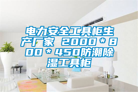 電力安全工具櫃生產廠家 2000＊800＊450防潮除濕工具櫃