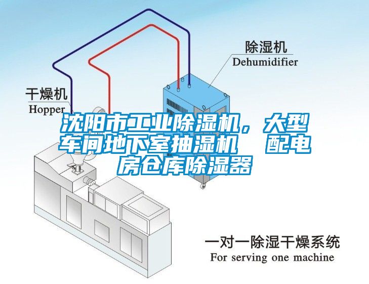 沈陽市工業麻豆视频免费看，大型車間地下室抽濕機  配電房倉庫除濕器