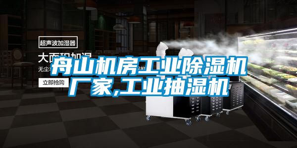 舟山機房工業麻豆视频免费看廠家,工業抽濕機