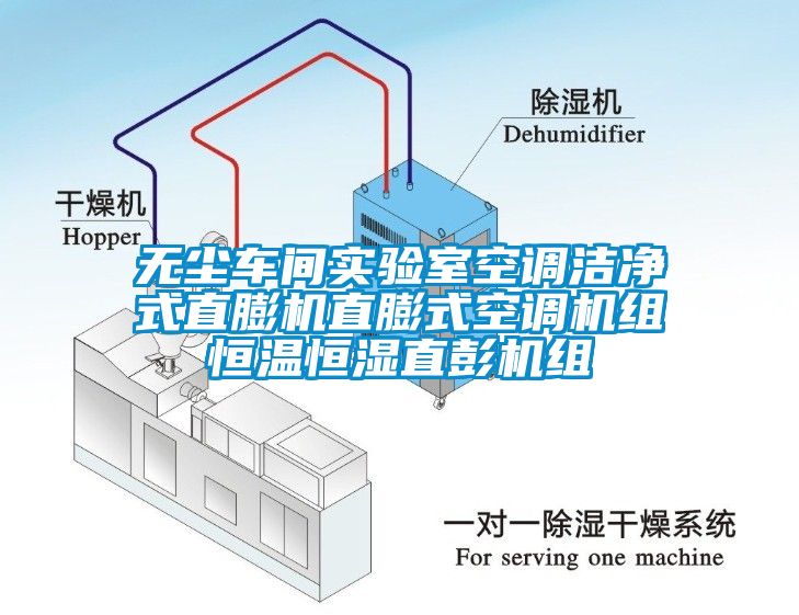 無塵車間實驗室空調潔淨式直膨機直膨式空調機組恒溫恒濕直彭機組