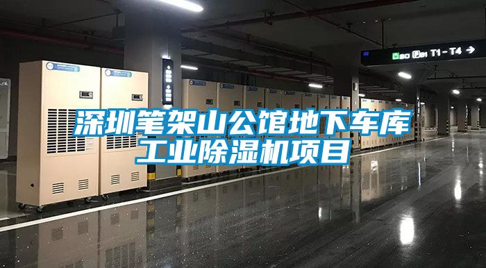 深圳筆架山公館地下車庫工業麻豆视频免费看項目