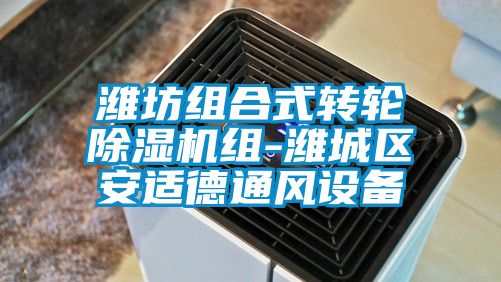 濰坊組合式轉輪麻豆视频免费看組-濰城區安適德通風設備