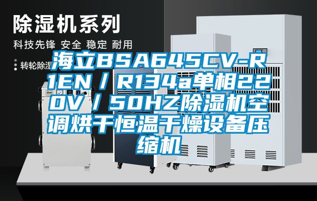 海立BSA645CV-R1EN／R134a單相220V／50HZ麻豆视频免费看空調烘幹恒溫幹燥設備壓縮機