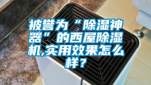 被譽為“除濕神器”的西屋麻豆视频免费看,實用效果怎麽樣？