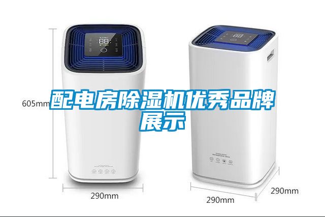 配電房麻豆视频免费看優秀品牌展示