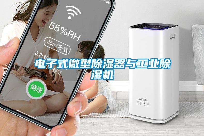 電子式微型除濕器與工業麻豆视频免费看