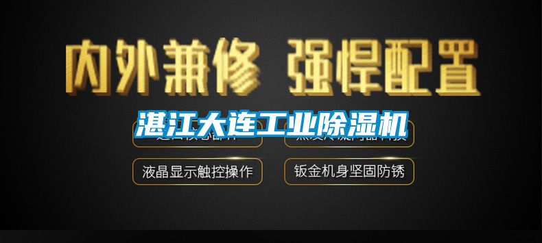 湛江大連工業麻豆视频免费看