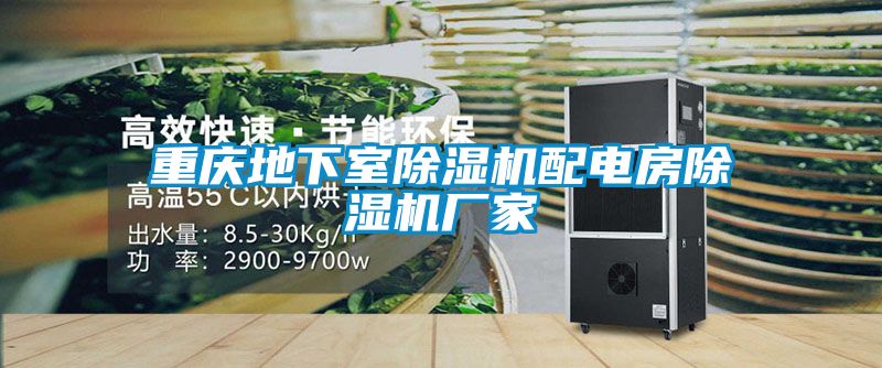 重慶地下室麻豆视频免费看配電房麻豆视频免费看廠家