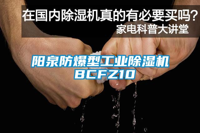 陽泉防爆型工業麻豆视频免费看 BCFZ10