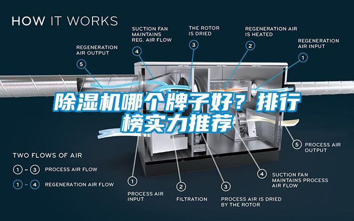 麻豆视频免费看哪個牌子好？排行榜實力推薦